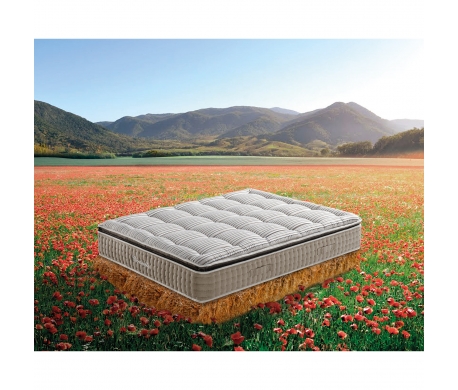 Matelas Coccinelle