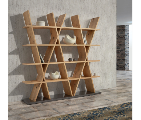 REVERSO_CLARA HOME (LBF)_Bibliothèque_AMB.jpg