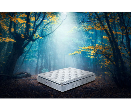 LIBELLULE_ECUS SLEEP SLU_Matelas_AMB.jpg