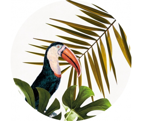 Tableau Bertrand Le Toucan