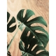 Tableau Monstera