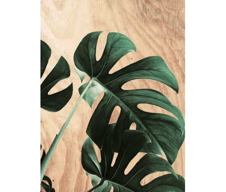 Tableau Monstera